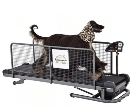 Tapis de Marche à sec Fit Fur Life, Médium